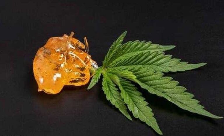 marijuana concentrates