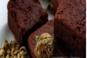 Hash and the Endocannabinoid System