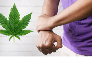 Cannabis Strains that Help Arthritis and Inflammation